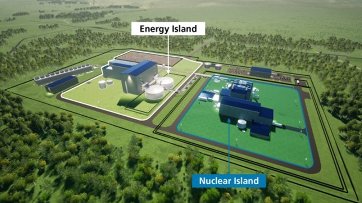 nuclear reactor plant