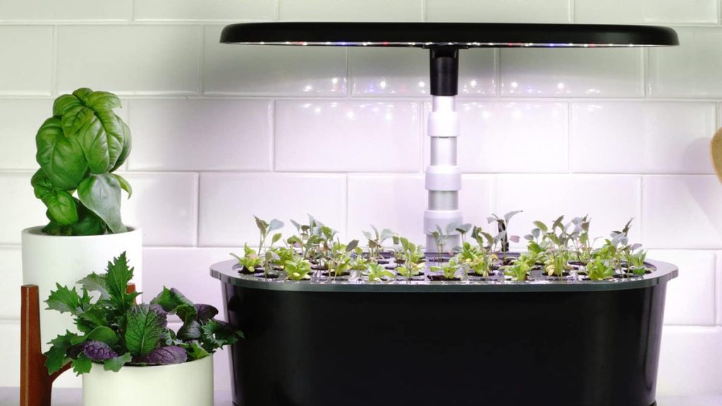 Aerogarden Bounty Basic within post for Lectric Christmas in July sale