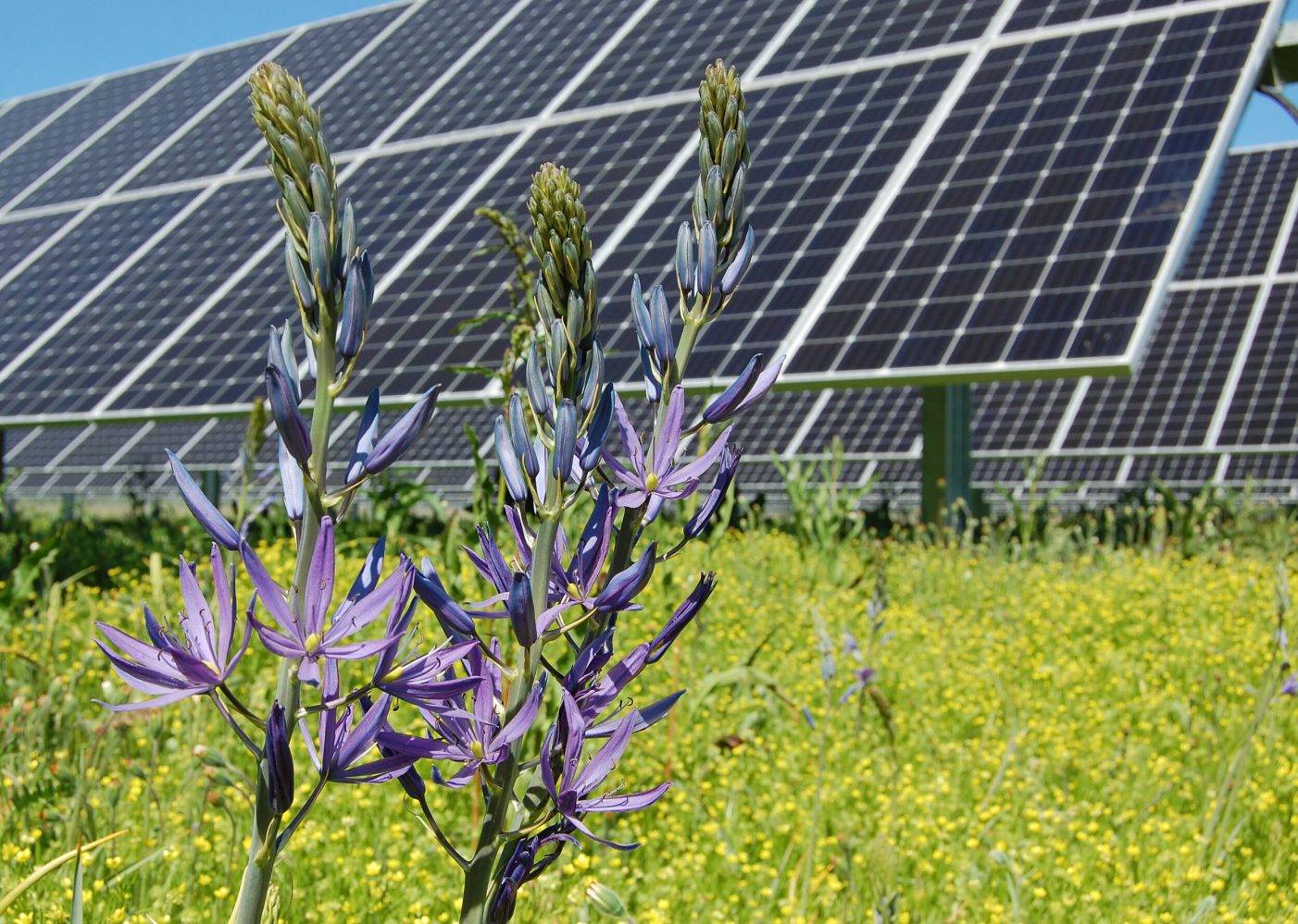 Storing Solar Energy in Oregon