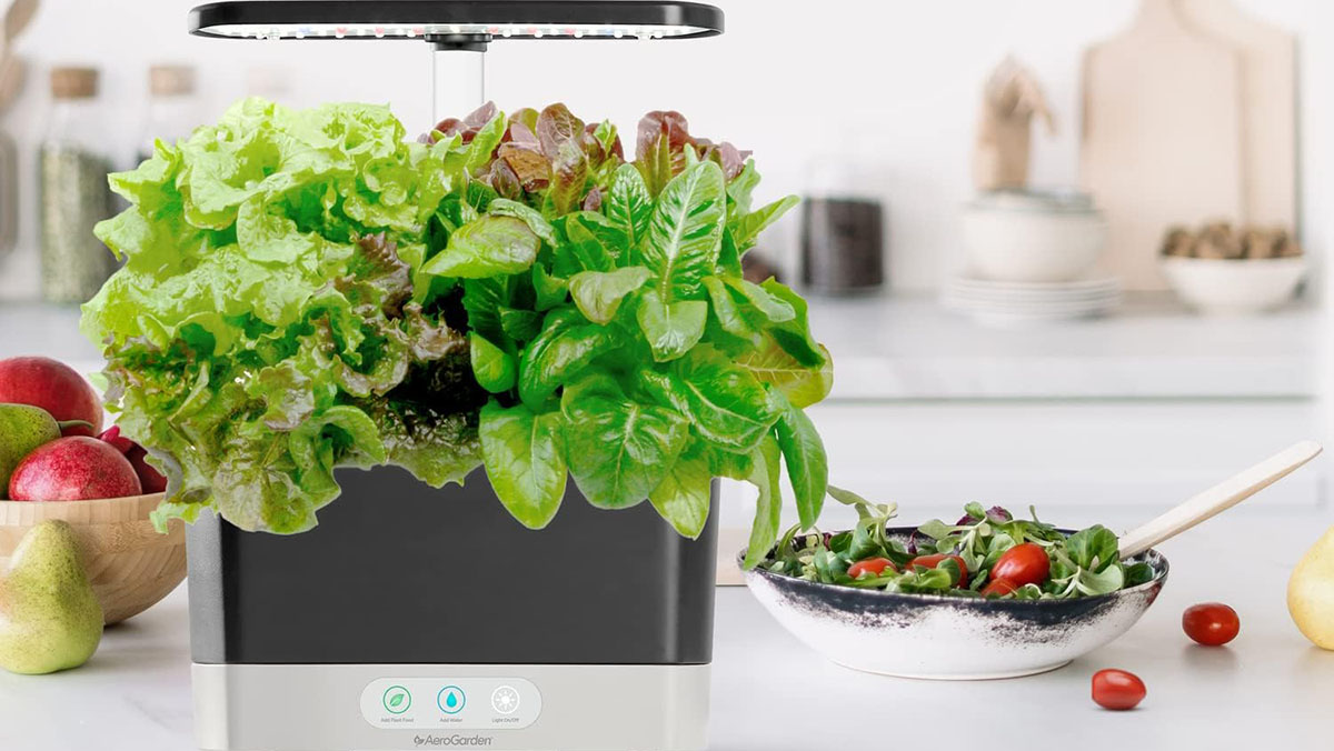 AeroGarden Harvest Hydroponic Indoor Garden within post for MOD Black 3 e-bike