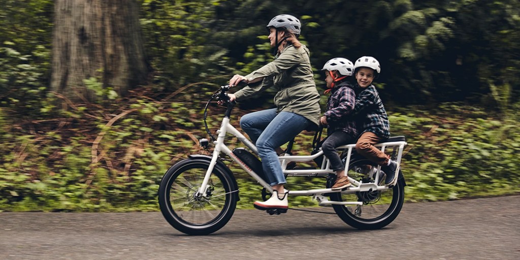 Rad Power RadWagon 4 Cargo e-bike