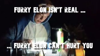 elon musk furry