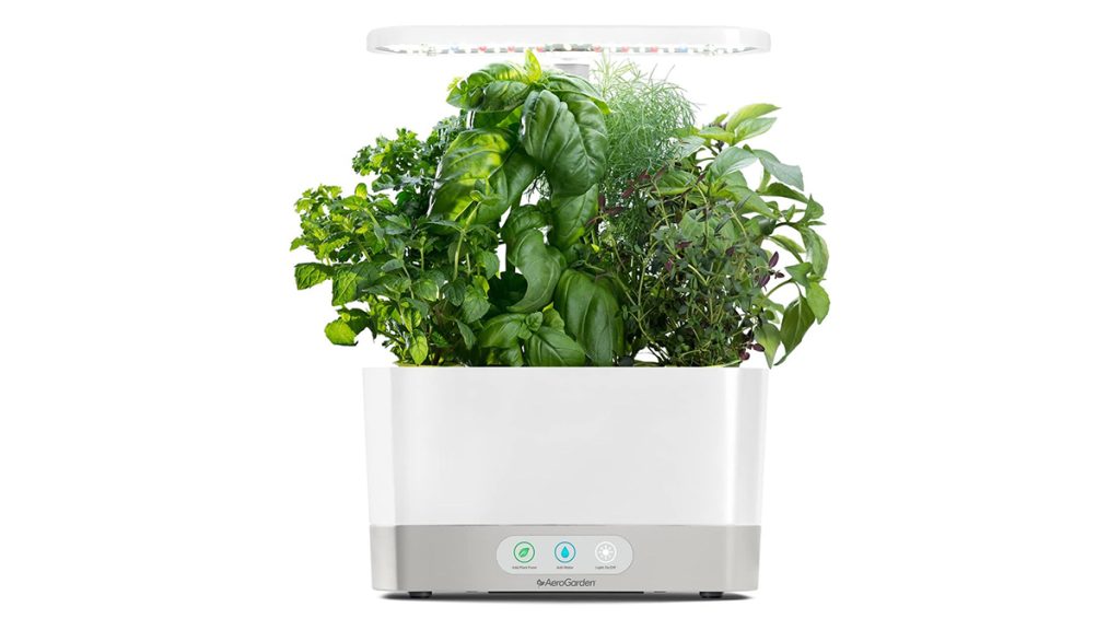 aerogarden