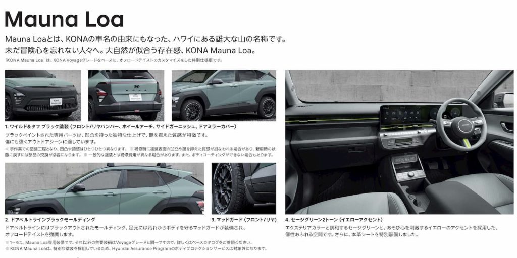 Hyundai-kona-EV-mauna-loa