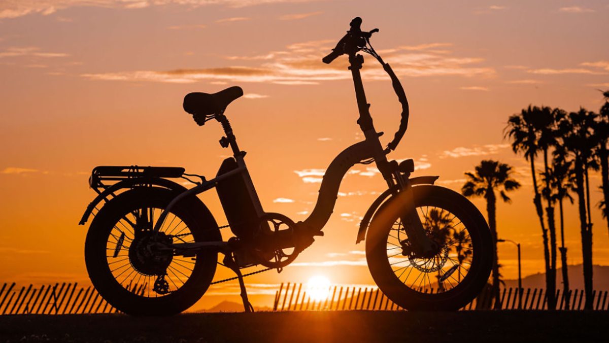damenfahrrad 28 zoll gebraucht kaufen Gazelle G-Touren Damen Hollandrad 5-Gang Rücktritt – Der Holländer Fahrradgeschäft TOP200 Farbe:eiche Maxcycles ELITE 2 MAN