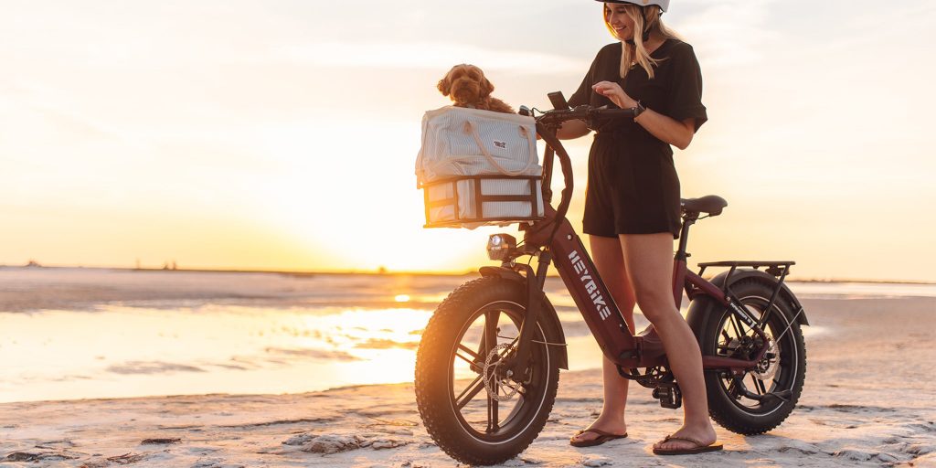 Heybike Ranger S folding fat tire e-bike