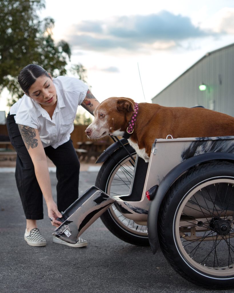 MOD Easy SideCar Sahara e-bike