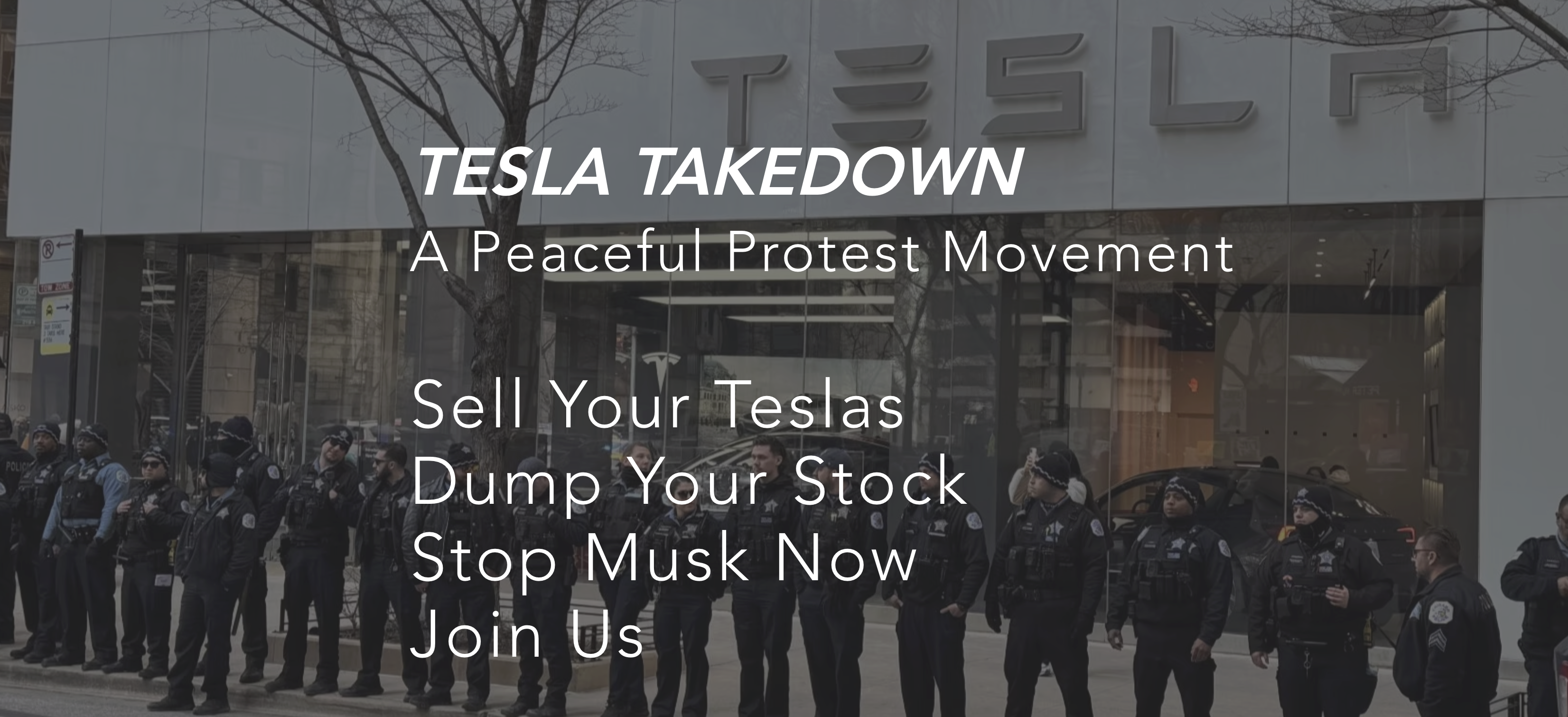 Picture of Tesla Takedown