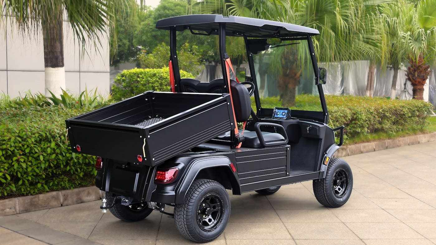 Golf cart pickup truck? Waev launches cool new LSV utility line