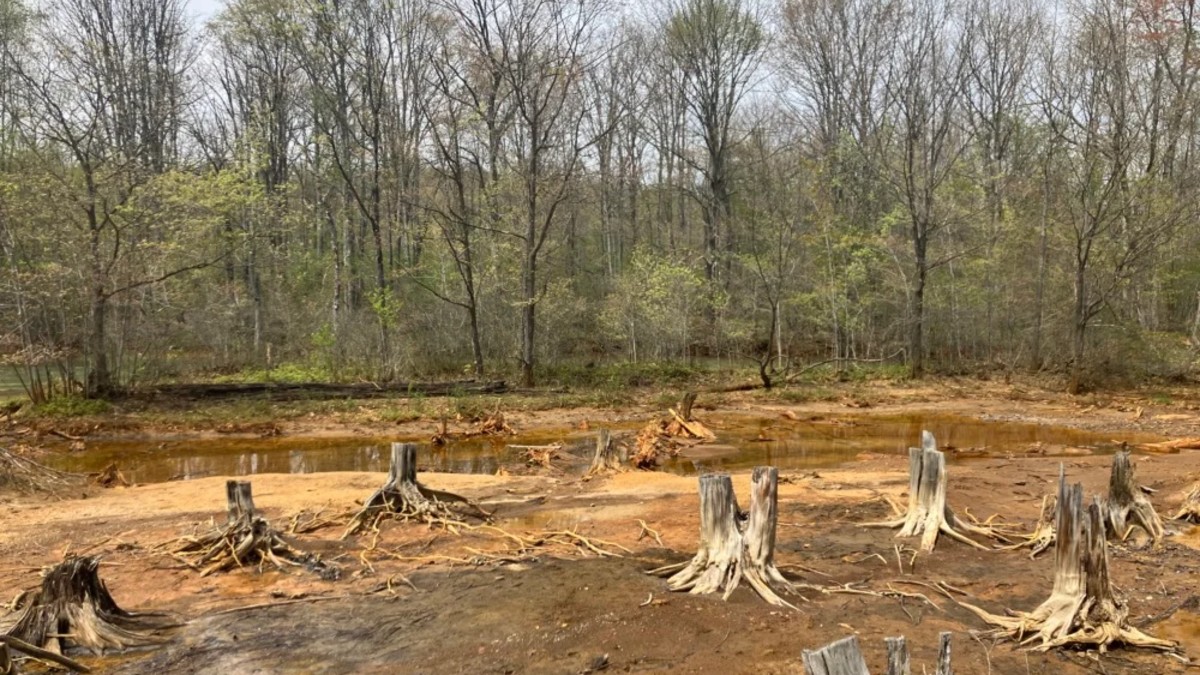 Toxic Pennsylvania mineland is about to become a big solar farm