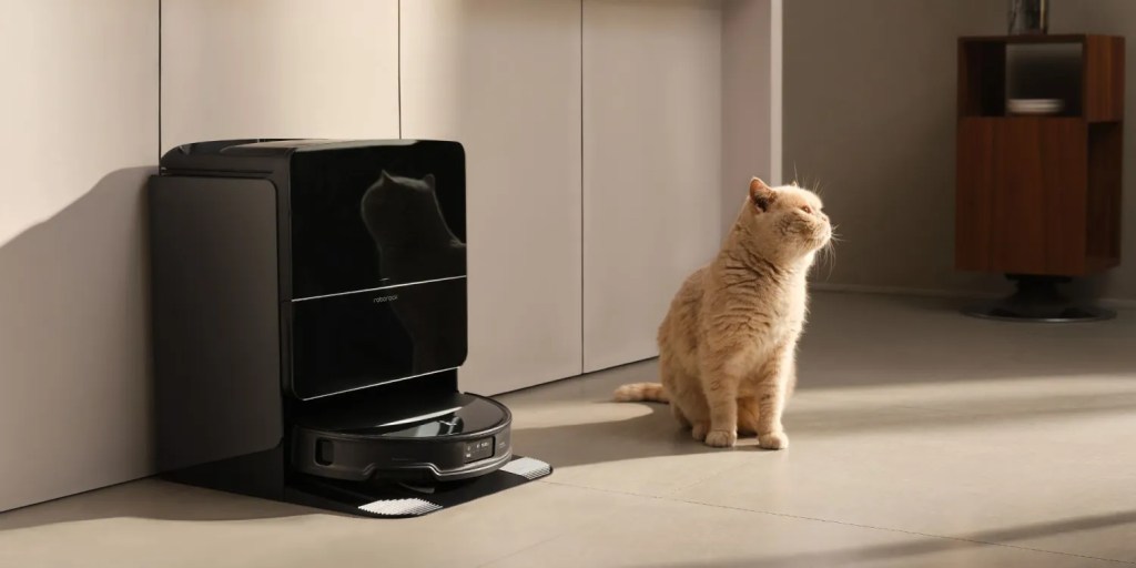 cat sitting next to robot vacuum