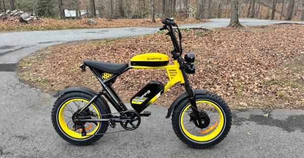 This bike has 2 huge batteries, 2 big motors and might be perfect for the snow