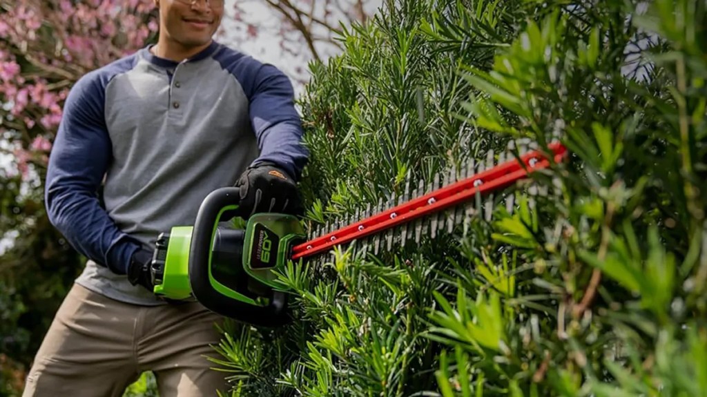 man trimming hedge with greenworks cordless electric hedge trimmer
