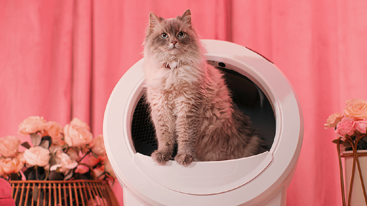 Whisker Litter-Robot Valentine's Day sale banner