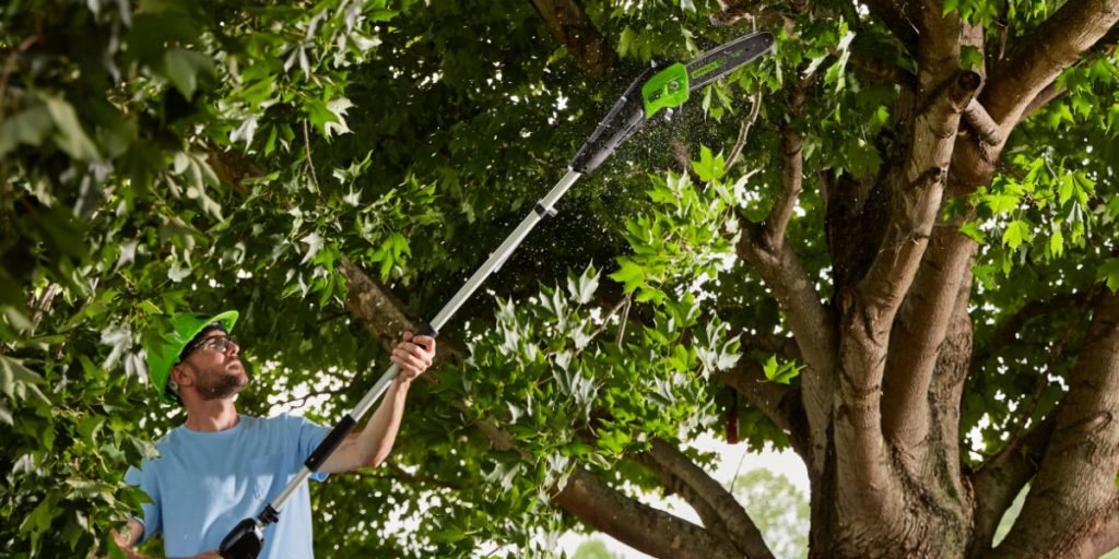 man using cordless electric pole saw on tree branches