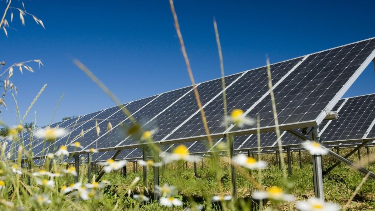 UK largest solar farm