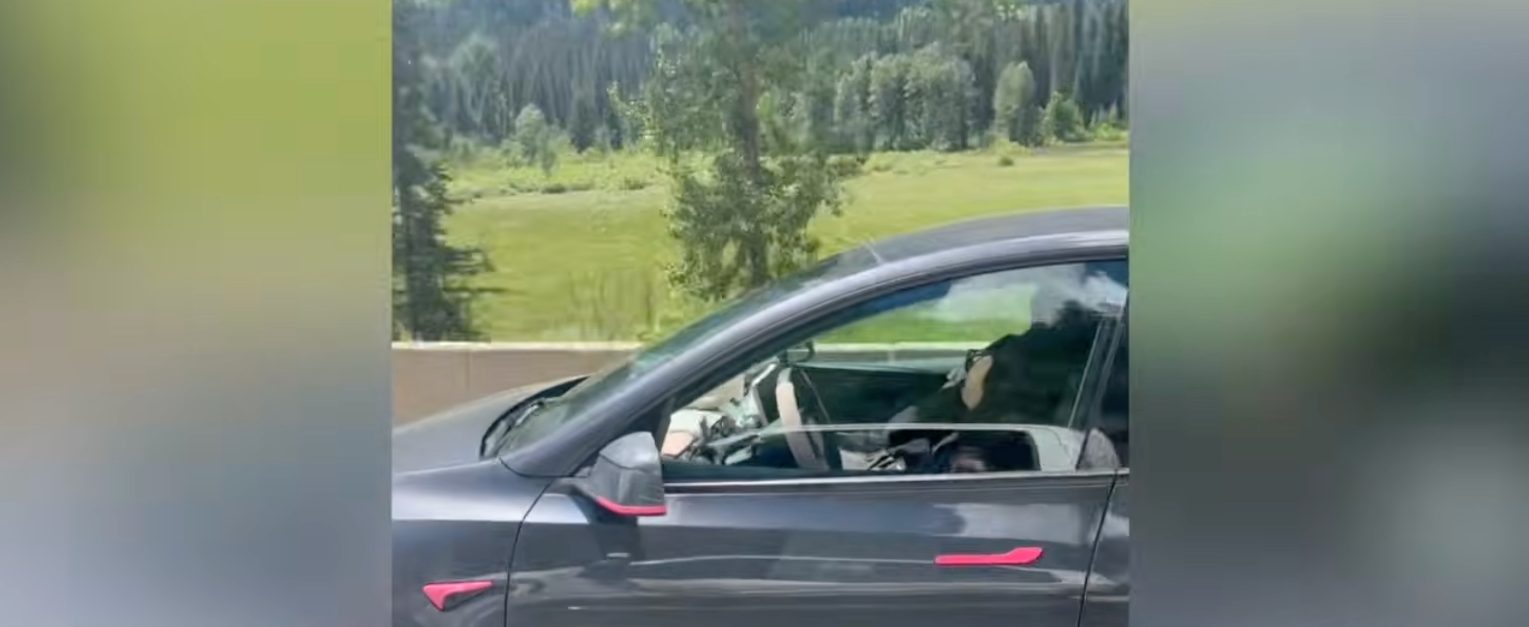 Tesla driver caught asleep at 100 km/h — how monitoring&hellip;