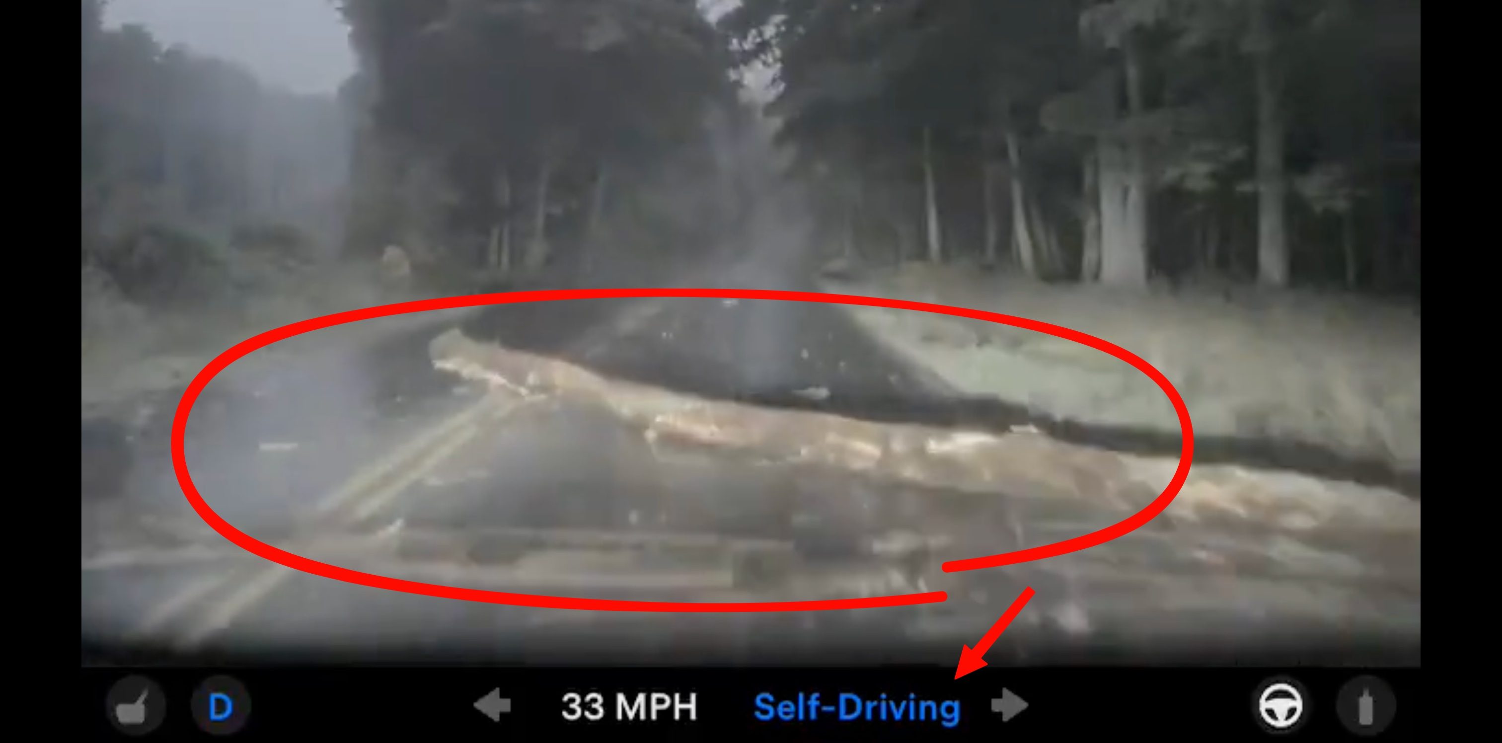 Watch Tesla FSD v14 Lite drive over a giant log without&hellip;