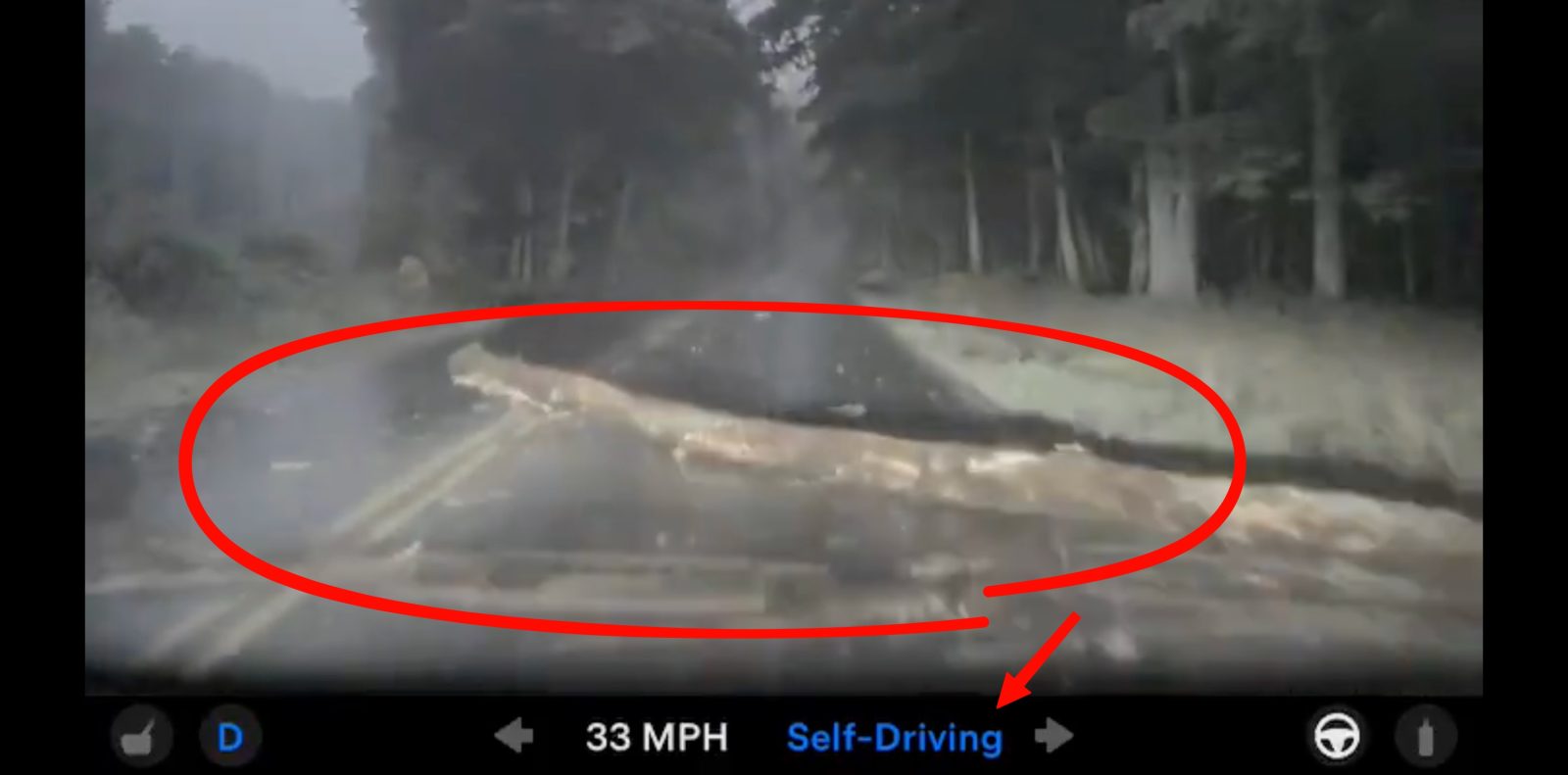 Tesla FSD V14 lite drive into tree