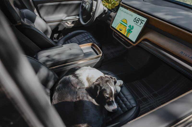 A dog sleeping on the front seat of a Rivian R2 with Pet Mode shown on the center display